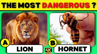 How Much Do you Know about Animals?🦁🐘🐯🐬51 Animals Knowledge Trivia Quiz