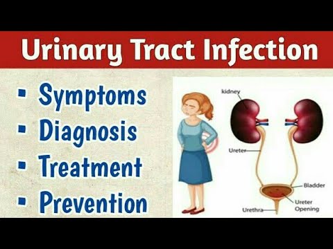 Urinary Tract Infection (UTI) Causes, Symptoms, Diagnosis & Treatment | Urine Infection