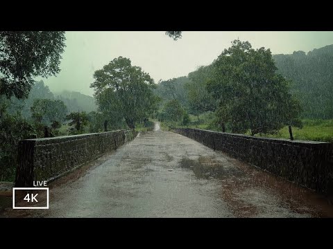 Relaxing Rainy Day Vibes | ASMR Rain Sound For Sleep , Meditation and Study