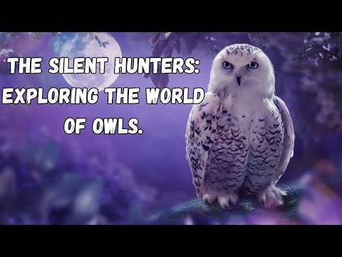 The silent hunters: Exploring the world of owls.