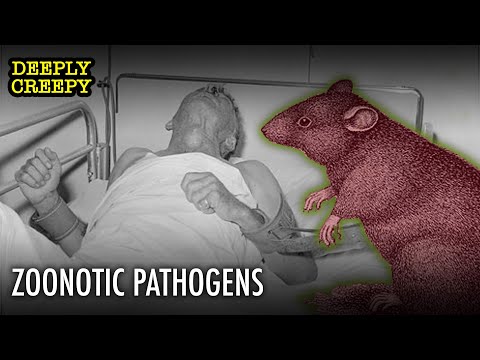 World's Worst Deaths: Zoonosis | Deeply Creepy