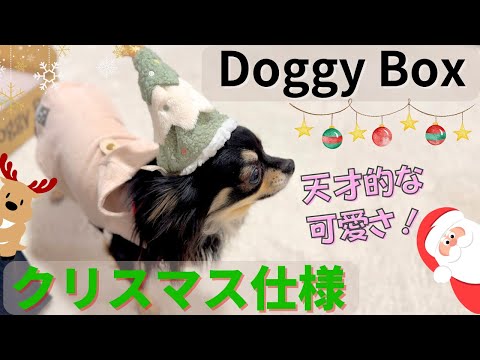 ドギーボックス【12月】のクリスマスデザインが天才的に可愛すぎた🐶💕