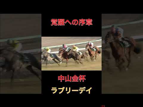 覚醒への序章ラブリーデイ【中山金杯】#競馬#中山金杯