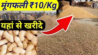 मूंगफली होलसेल दाम पर कहा से खरीदे// Groundnut wholesale market price 2024 / Wholesale business√