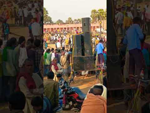 #shotrs घुड़दौड़ प्रतियोगिता #telhara #nalanda #bihar #trending #powerful