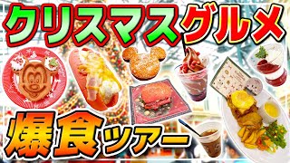 【ランド編】ディズニーグルメ爆食ツアー!!2024年のクリスマスもオススメフードが盛りだくさん!! / 東京ディズニーランド