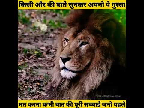 मुर्ख शेर | Stupid Lion | Moral Stories | Hindi Kahani | Success Motivation Story | #shorts