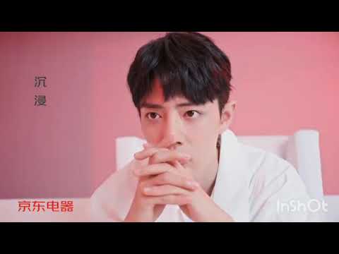 Xiao Zhan for Jingdong Electric Appliances