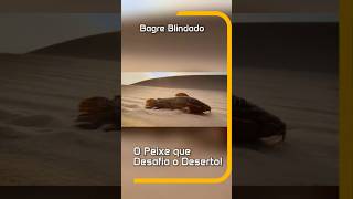 Bagre Blindado: O Peixe que Desafia o Deserto! #Curiosidades #PeixeNoDeserto #NaturezaIncrível