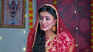 Shivika | Ep - 261 | Webisode | Dec 13 2024 | Zee Punjabi