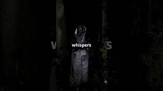 The Whispering Woods A Haunting Tale  #spinechillingtales #facts #mysteries #scary #creepymysteries