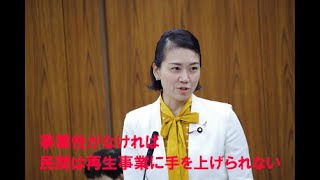 伊藤孝恵　参議院議員　20240405　地方創生及びデジタル社会の形成等に関する特別委員会