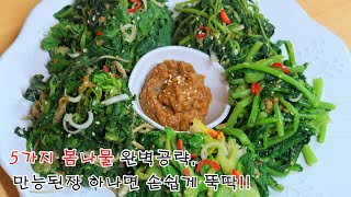 만능 된장 양념장으로 5가지 봄나물무침 맛있게 만들기, 냉이무침/열무무침/봄동무침/취나물무침/방풍나물무침