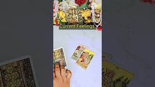 #tarot #hindicardreading #fortunetelling #lovetarotreadingsinhindi #tarotcardreading #tarotreadings