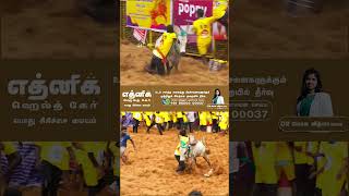 மாடுபிடி வீரர் தரமான செயல்..!🔥😎 |  Palamedu jallikattu