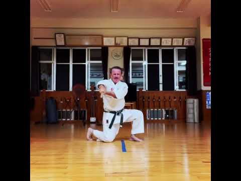 趙雲ヌ棍(平系) Chōun nu Kun (Taira Kei) #karate #okinawa #空手 #沖縄 #信武舘 #古武道 #shimbukan #kobudo