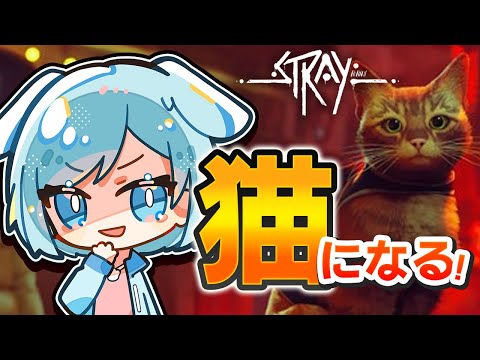 【 Stray 】猫になる！ #Stray  #ゲーム実況 #Vtuber