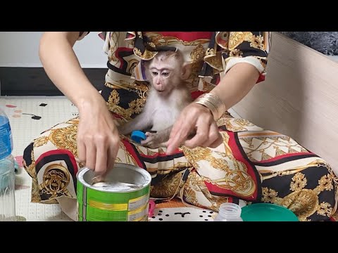 Cute Baby Boy Sit watching Mom Mix Milk To Drink