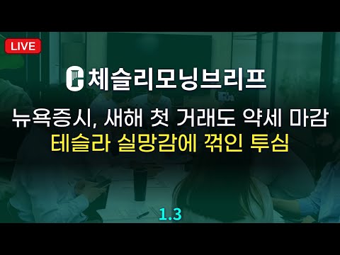 [체슬리모닝브리프] 뉴욕증시, 새해 첫 거래도 약세 마감테슬라 실망감에 꺾인 투심 [25/01/03]