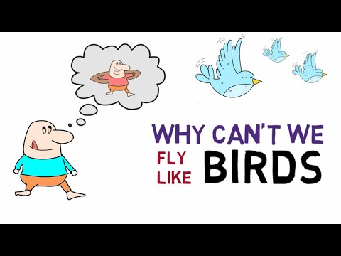 Why can't we fly like birds?