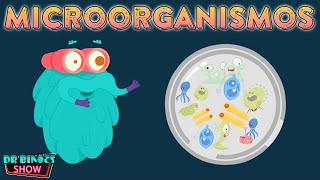 ¿Qué son los Microorganismos? | Las bacterias, los virus y los hongos | Educativos para niños 2021