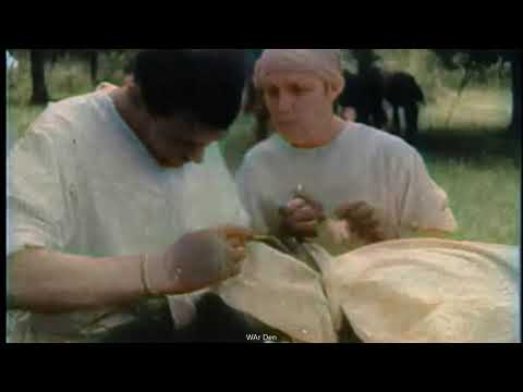 1ST TIME COLOR! WW2 Soviet Soldier's Surgery In Open Field! WW2 Operation On A Soviet Soldier!