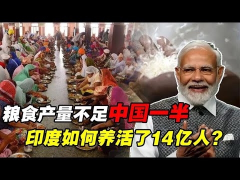 给中美俄上了一课！印度粮食产量不到中国一半，如何养活14亿人？