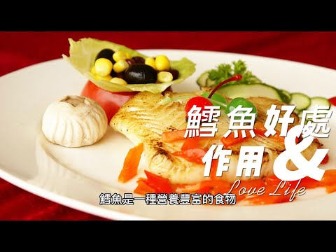 EP 126 鱈魚的好處與作用 保持心血管健康 促進骨骼健康