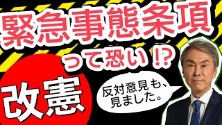 【緊急事態条項】本当に危険！？反対意見も見ました。