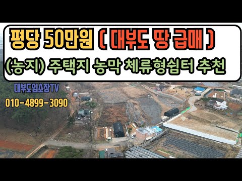 (평당50만원/ 땅급매) 대부도토지 매매 전원주택부지 주말농장 농지 농막 체류형쉼터 추천 조합원 농지원부가능 건축허가 있음  / 대부도부동산 NO  1139