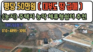 (평당50만원/ 땅급매) 대부도토지 매매 전원주택부지 주말농장 농지 농막 체류형쉼터 추천 조합원 농지원부가능 건축허가 있음  / 대부도부동산 NO  1139