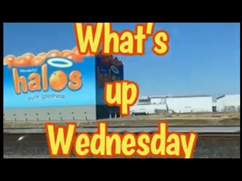 What’s up Wednesday 5-1-24