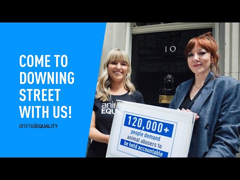 Diane Morgan Goes To Downing Street With Animal Equality