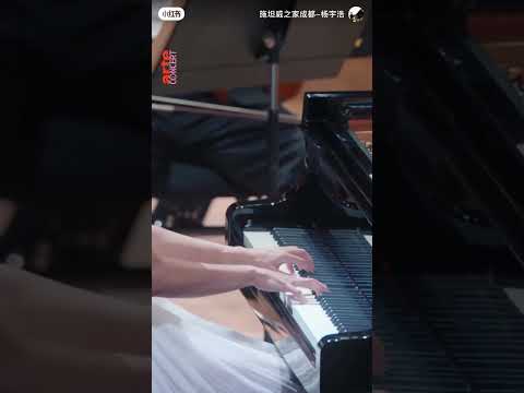 🎹 Wang yujia  |  Études - No. 6  |  听过王羽佳版本谁的我也听不了了