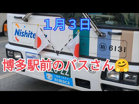 　【お正月】博多駅前のバスさん🤗3−1