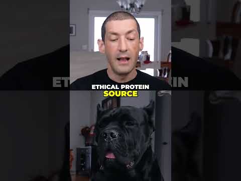 Top B Tier Dog Food  Best Ethical Protein Choices #canecorso #dog #shorts