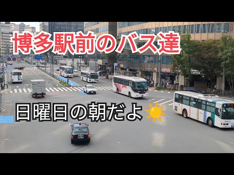 [Sunday morning☀] Buses in front of Hakata Station "Seen from above"④-2🤗