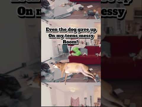 Dog Takes Over Messy Teen Room—Naptime Champion!