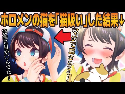 スバルがホロメンの飼ってる猫を「猫吸い」した結果【大空スバル/ホロライブ】#ホロライブ #ホロライブ切り抜き #大空スバル