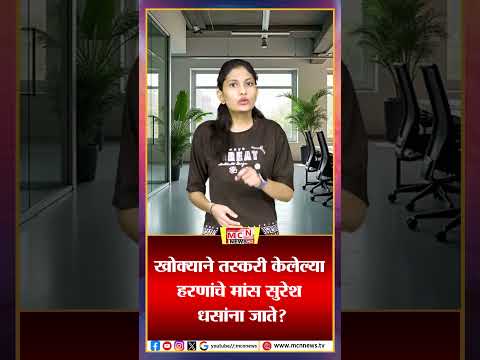 खोक्याने तस्करी केलेल्या हरणांचे मांस सुरेश धसांना जाते?