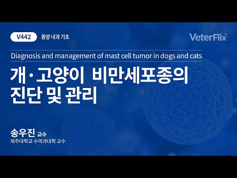 [베터플릭스][종양 내과 기초]개·고양이 비만세포종의 진단 및 관리(Diagnosis and management of mast cell tumors in dogs and cats)