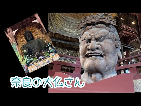 奈良の大仏さん　修学旅行生と外国人で大混雑💦　Great Buddha in Nara 2024年10月6日