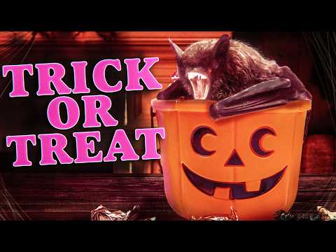 3 True Scary TRICK or TREAT Halloween Stories | 2024