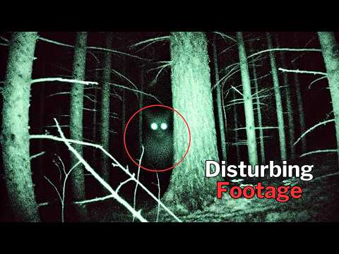 Scariest Camping Moments Captured on Video