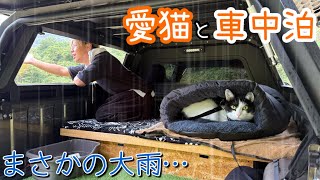 大雨の中愛猫と車中泊！冬並みの寒さの中快適ぬくぬくキャンプ！【ソロキャンプ】