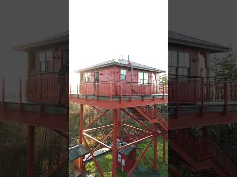 Unique Tiny Home Tower 30ft Up In The Air! (60 Second Airbnb Tour)