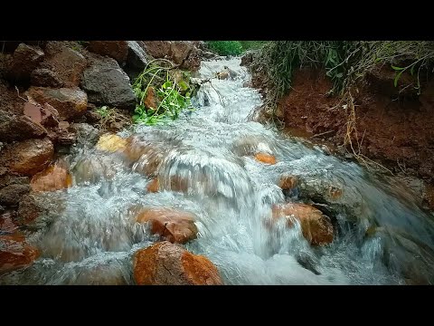 Ratnagiri in Monsoon | Jagbudi Riverfront | Adil Khan