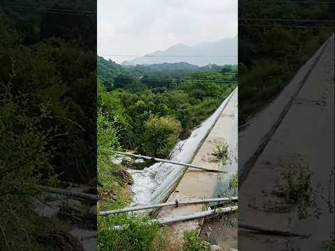 #ranakpur #sadri #dam #viralshort #trendingshorts #nature #naturelovers