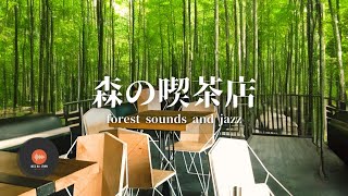 環境音＋JAZZ やさしい森の喫茶店 自然環境音 リラックスカフェ CAFE MUSIC 癒しの空間 鳥のさえずり 川のせせらぎ 作業 勉強 - 作業用BGM