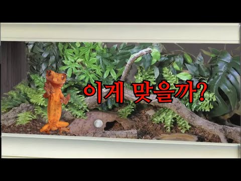 비바리움에 크레를 키울 수 없는 이유